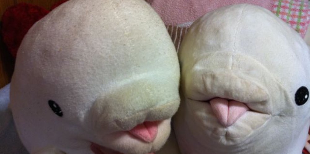 日々雑感(独り言)